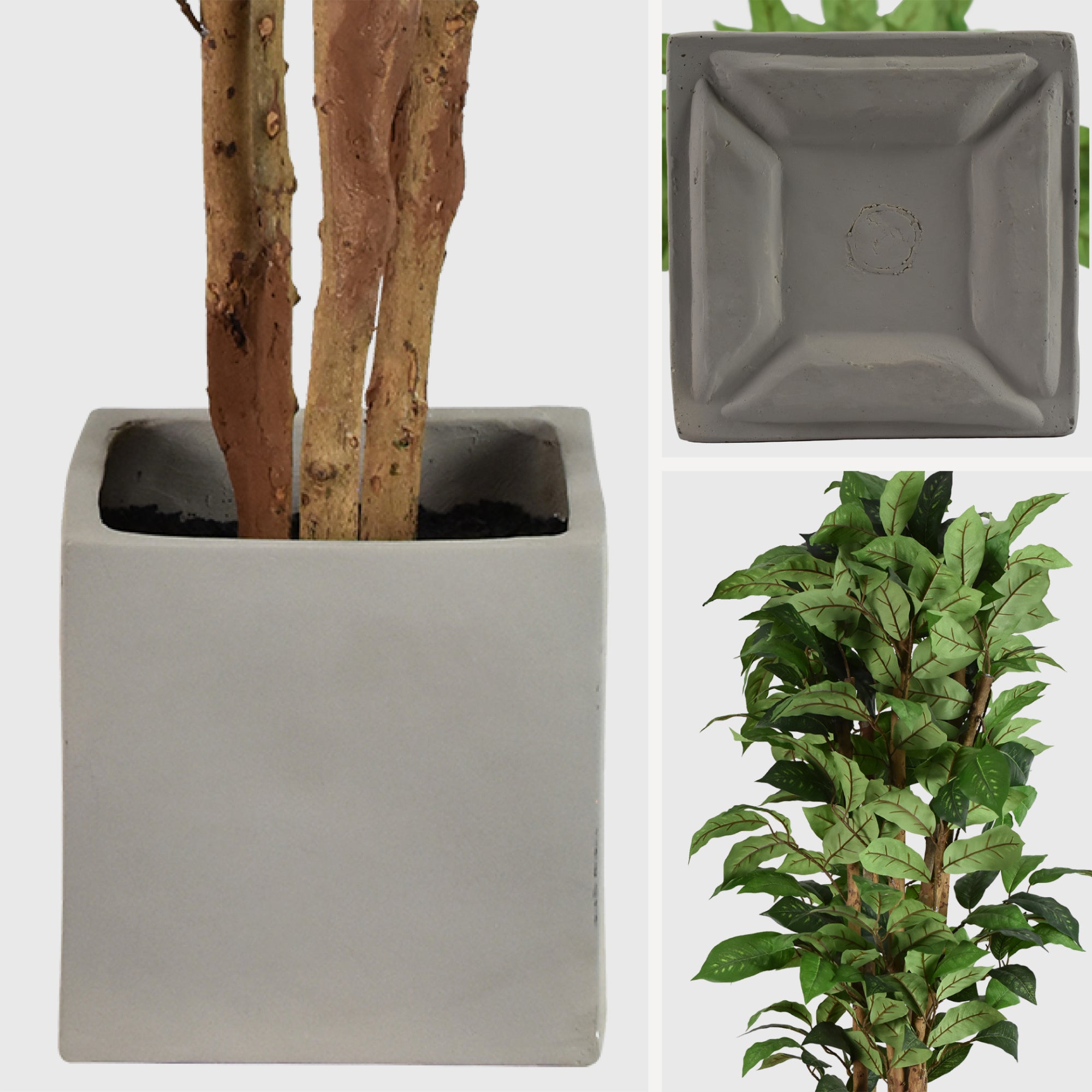 Artificial Coffee Tree in Cement Pot Faux Plant for Home or Office - 60