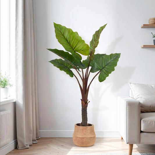 Artificial Rainbow Taro Tree in Cement Pot Faux Plant for Home or Office - 60"