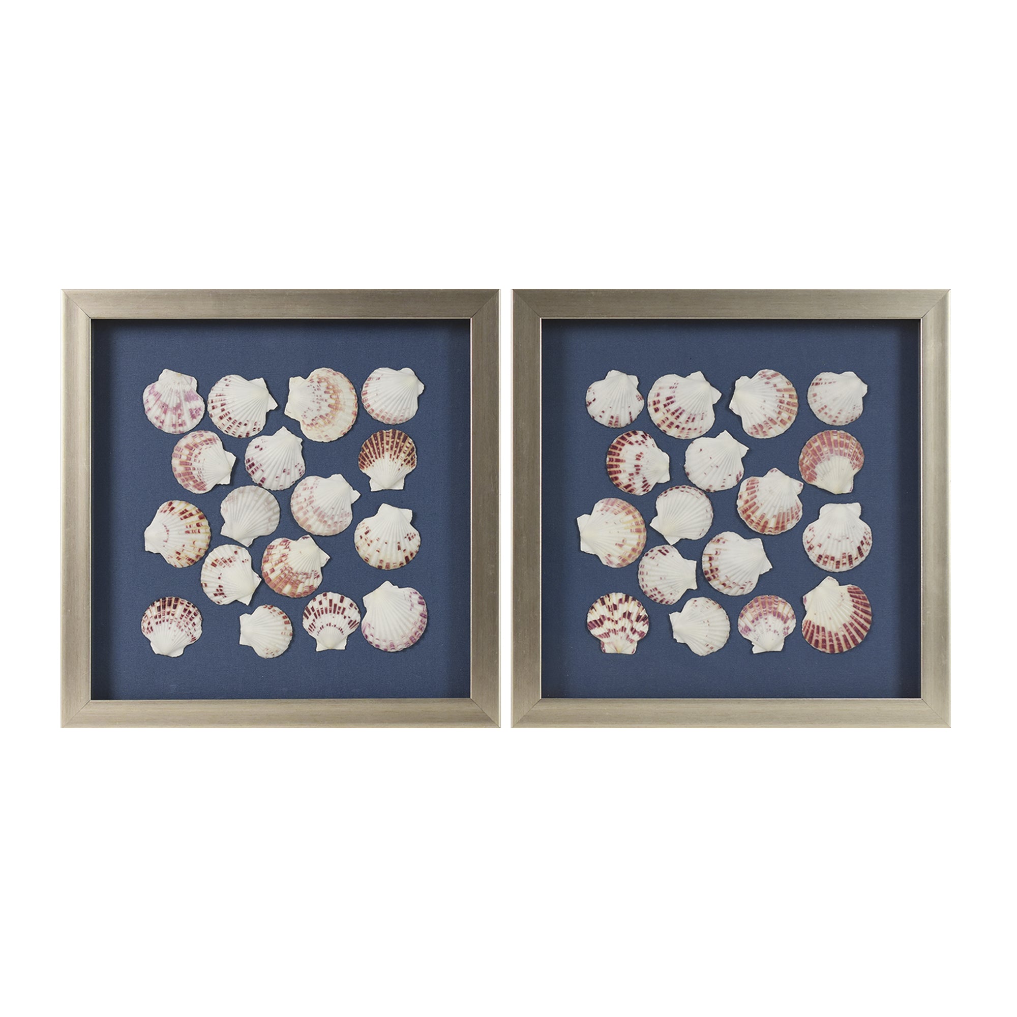 2-pc Seashell Shadowbox Framed Wall Art - Blue Linen Coastal Decor