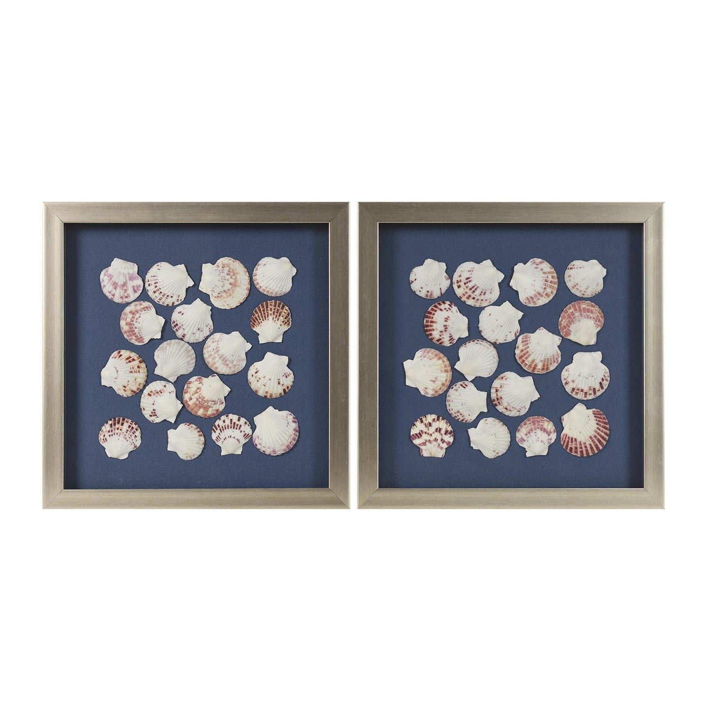 2-pc Seashell Shadowbox Framed Wall Art - Blue Linen Coastal Decor