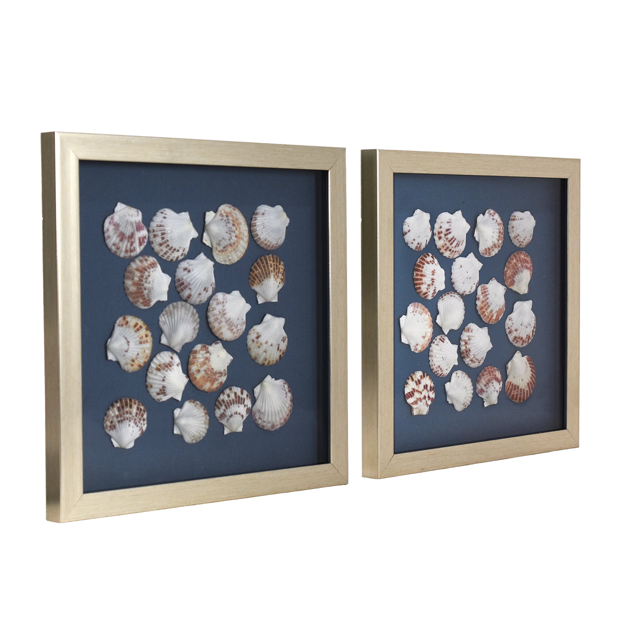 2-pc Seashell Shadowbox Framed Wall Art - Blue Linen Coastal Decor