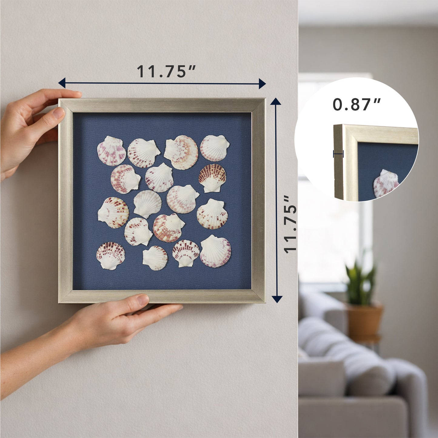 2-pc Seashell Shadowbox Framed Wall Art - Blue Linen Coastal Decor