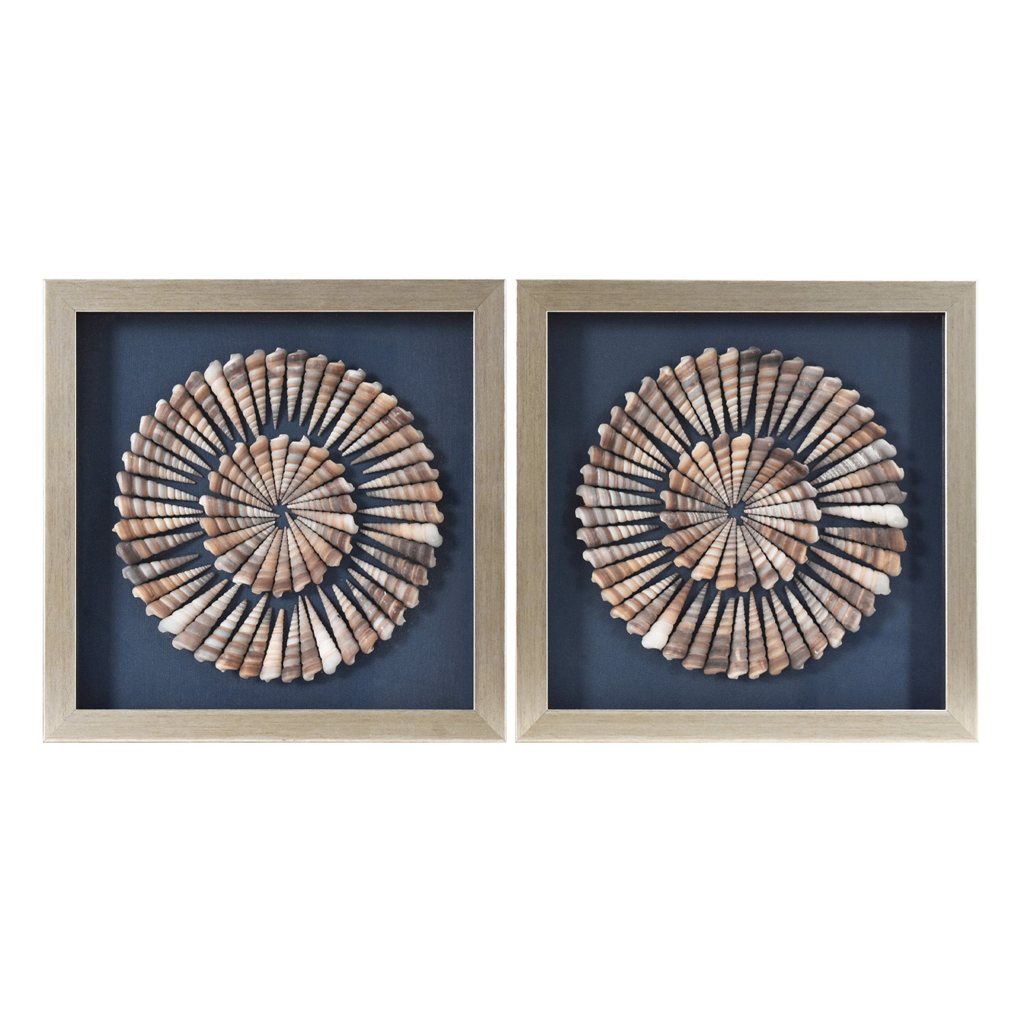2-pc Seashell Shadowbox Framed Wall Art - Blue Linen Coastal Decor