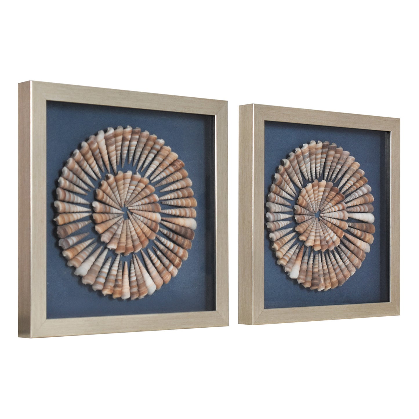 2-pc Seashell Shadowbox Framed Wall Art - Blue Linen Coastal Decor