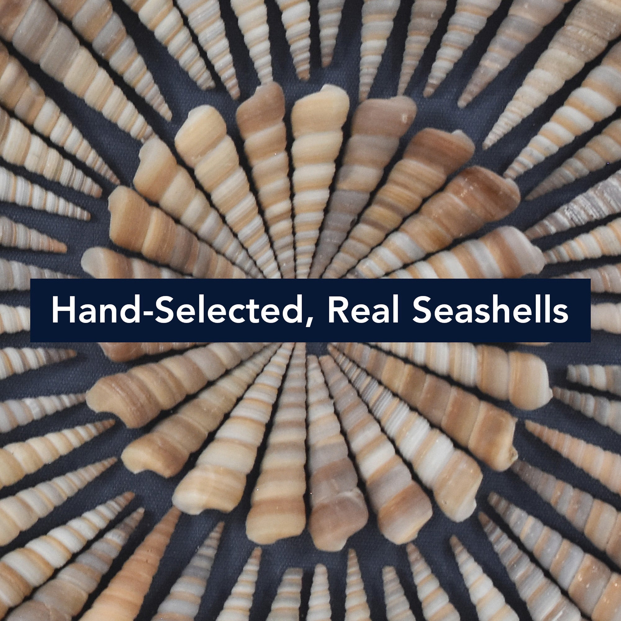 2-pc Seashell Shadowbox Framed Wall Art - Blue Linen Coastal Decor