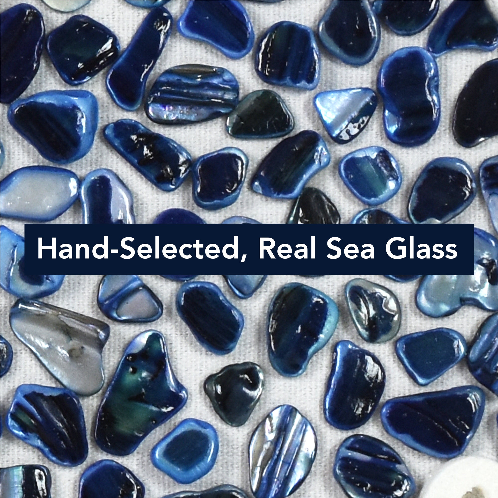 2-pc Sea Glass Shell Seahorse Wall Art Set - Coastal Blue Shadowbox Decor