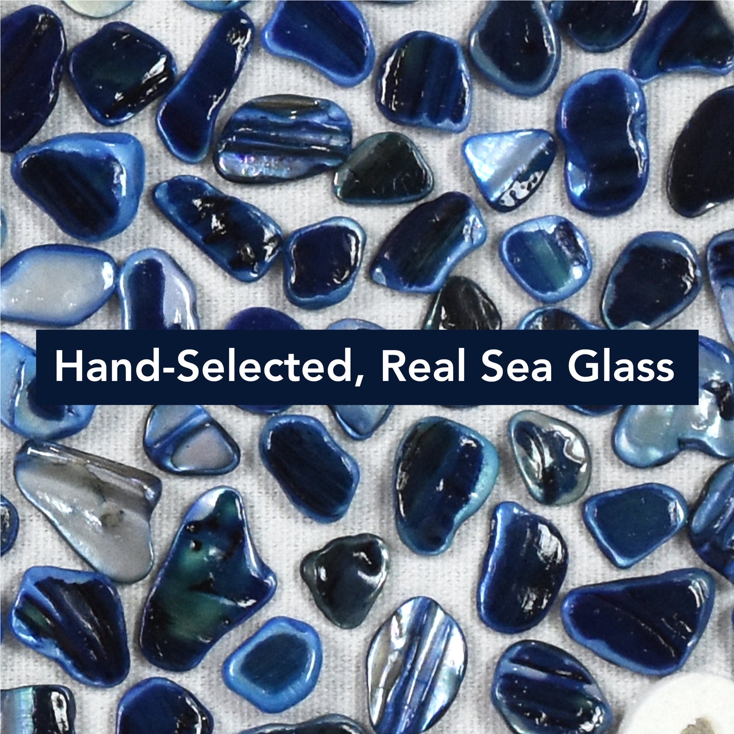 2-pc Sea Glass Shell Seahorse Wall Art Set - Coastal Blue Shadowbox Decor