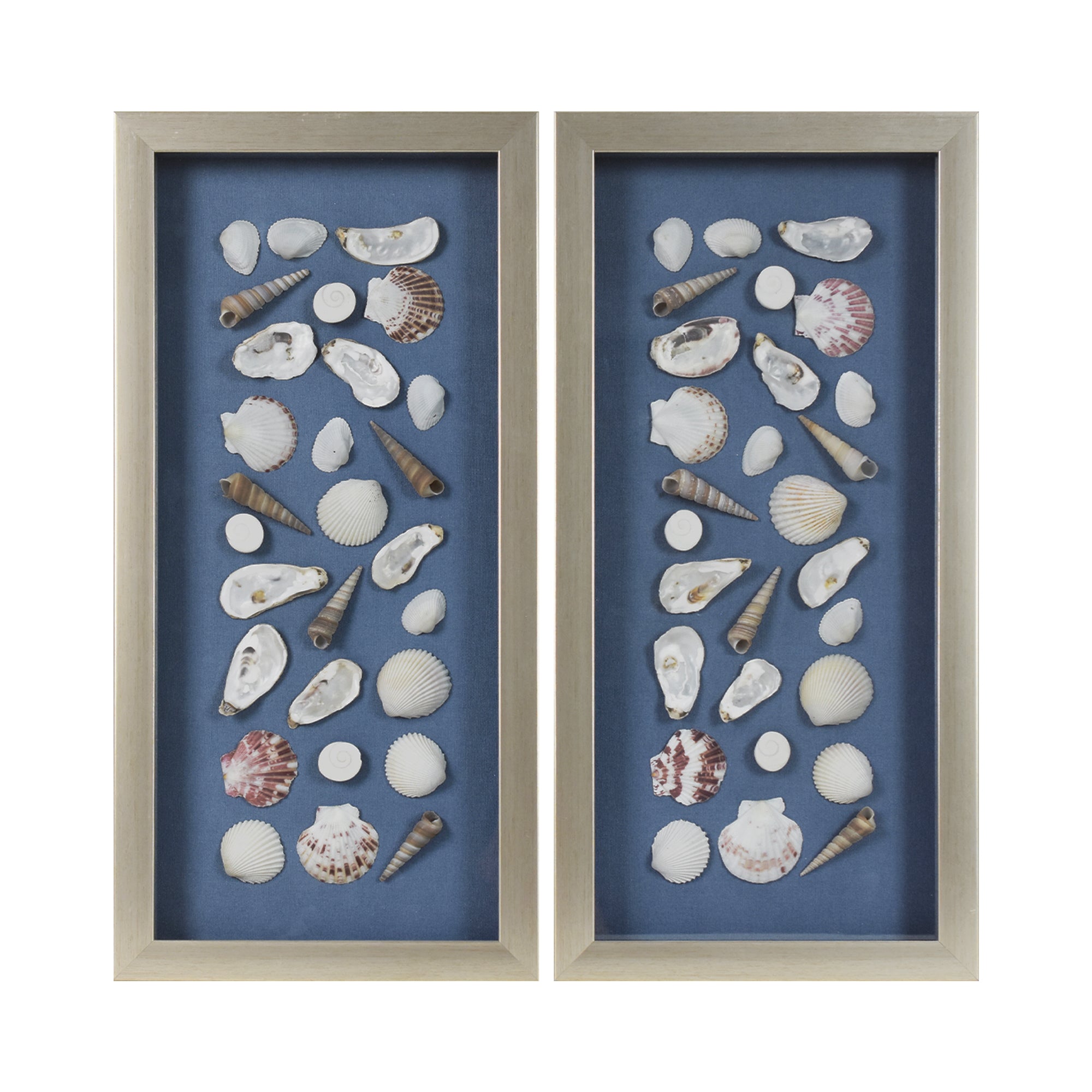2-pc Mixed Seashell Shadowbox Framed Wall Art - Blue Linen Coastal Decor