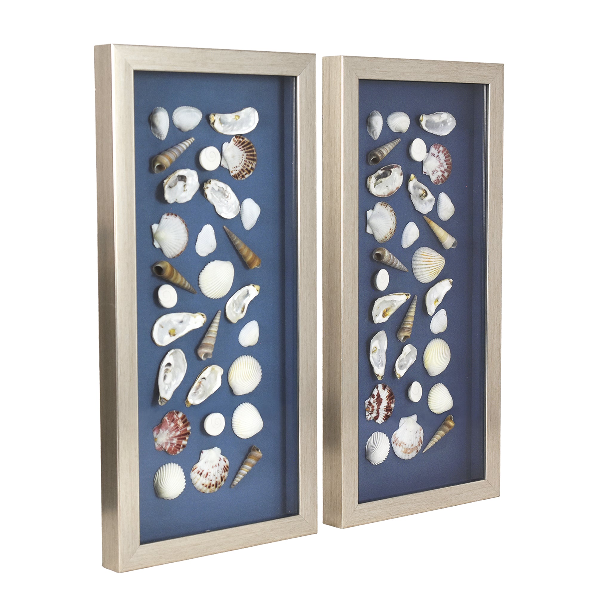 2-pc Mixed Seashell Shadowbox Framed Wall Art - Blue Linen Coastal Decor