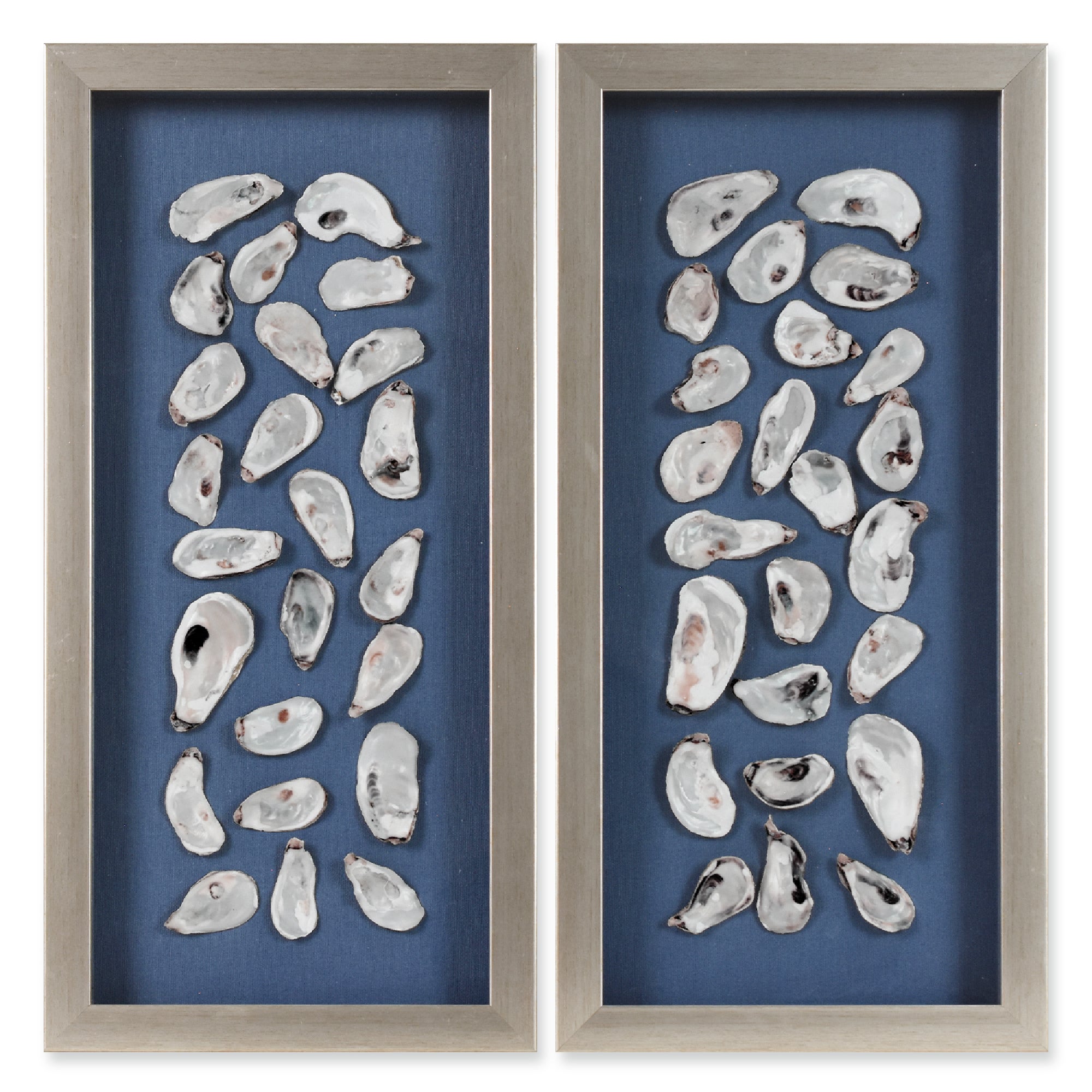 2-pc Oyster Shell Shadowbox Framed Wall Art - Blue Linen Coastal Decor