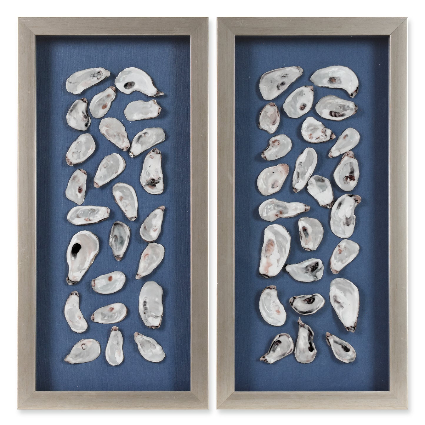 2-pc Oyster Shell Shadowbox Framed Wall Art - Blue Linen Coastal Decor