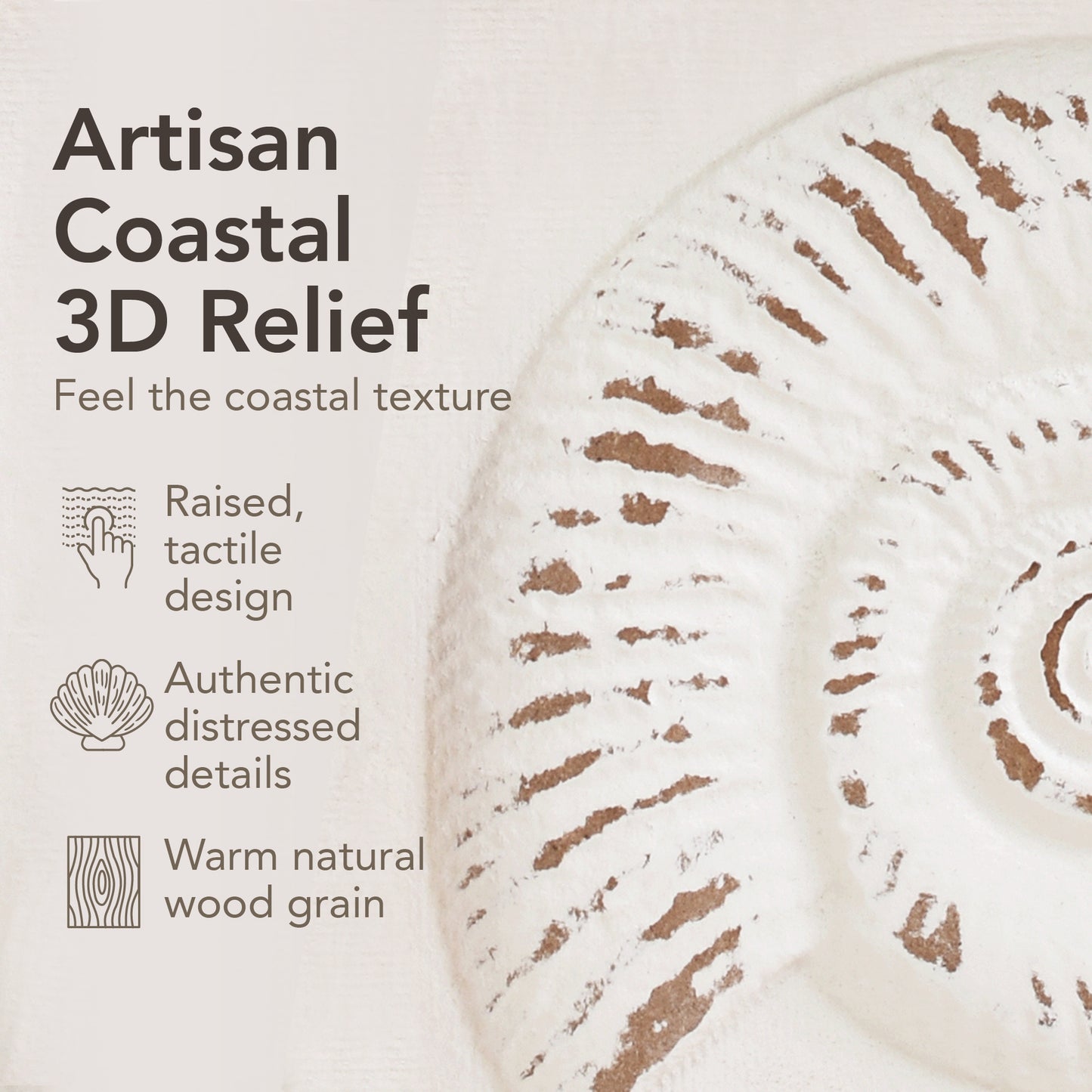 Framed seashell and starfish 3D coastal wall art set of 4, beach wall decor for bathroom or coastal bedroom, ocean inspired beach house wall decor with natural wood frames.