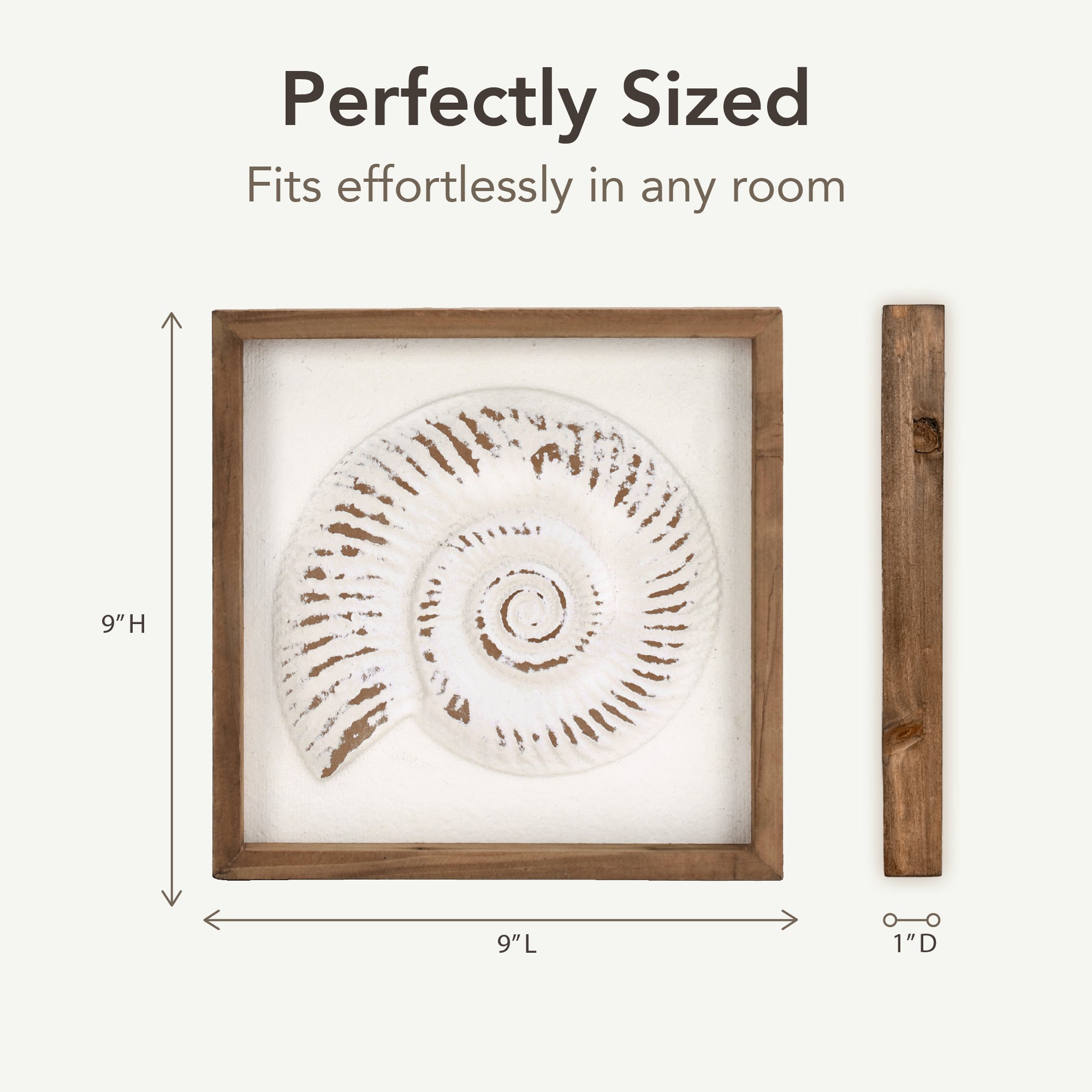 Framed seashell and starfish 3D coastal wall art set of 4, beach wall decor for bathroom or coastal bedroom, ocean inspired beach house wall decor with natural wood frames.