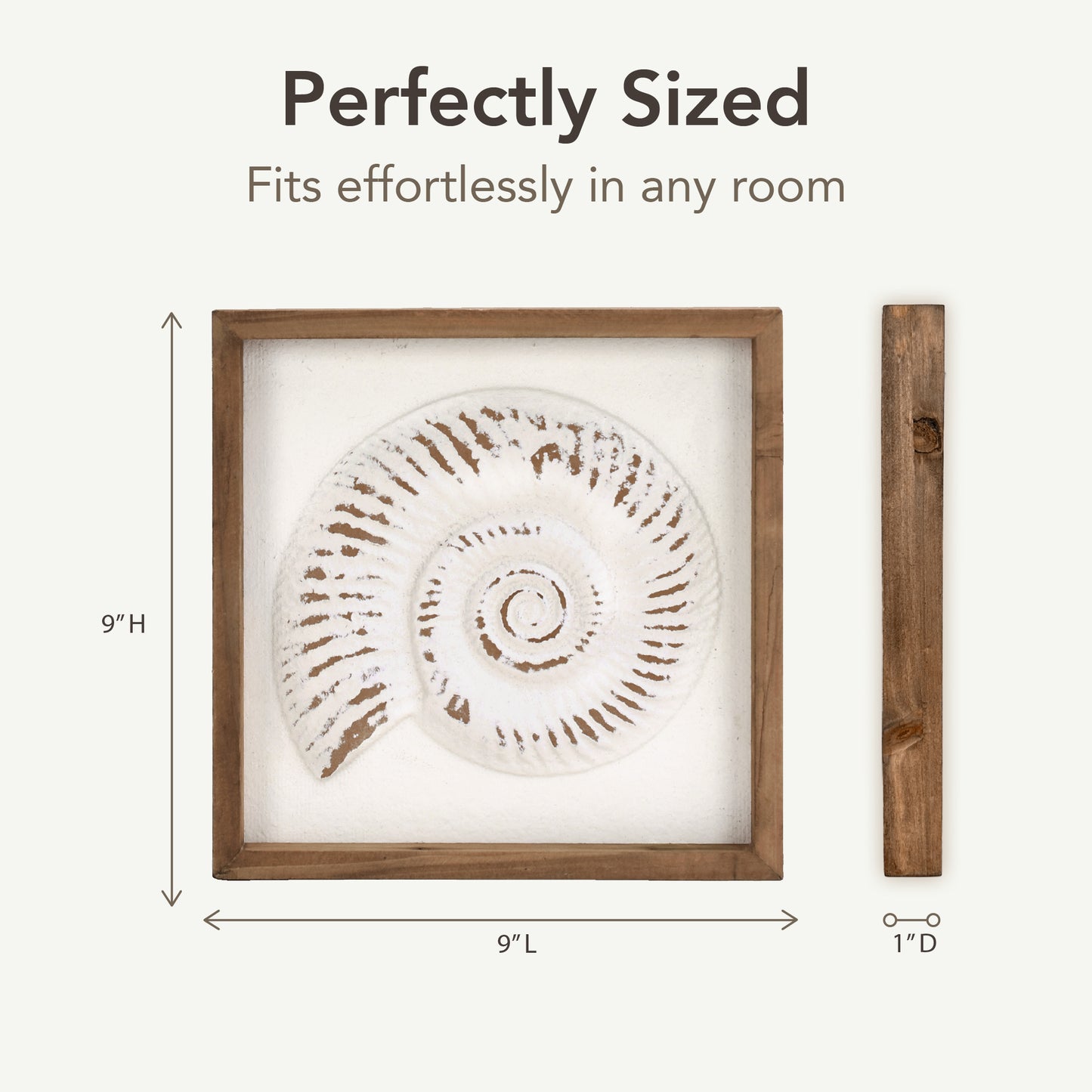 Framed seashell and starfish 3D coastal wall art set of 4, beach wall decor for bathroom or coastal bedroom, ocean inspired beach house wall decor with natural wood frames.