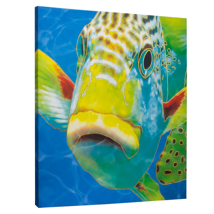 Fish Lips Outdoor Canvas Art Print - 35x35