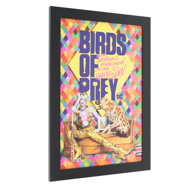 Licensed DC Comics Suicide Squad Birds of Prey Harley Quinn Framed Wall Art - 13x19