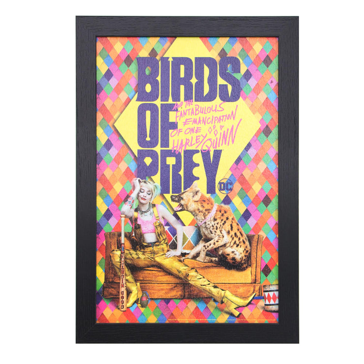 Licensed DC Comics Suicide Squad Birds of Prey Harley Quinn Framed Wall Art - 13x19