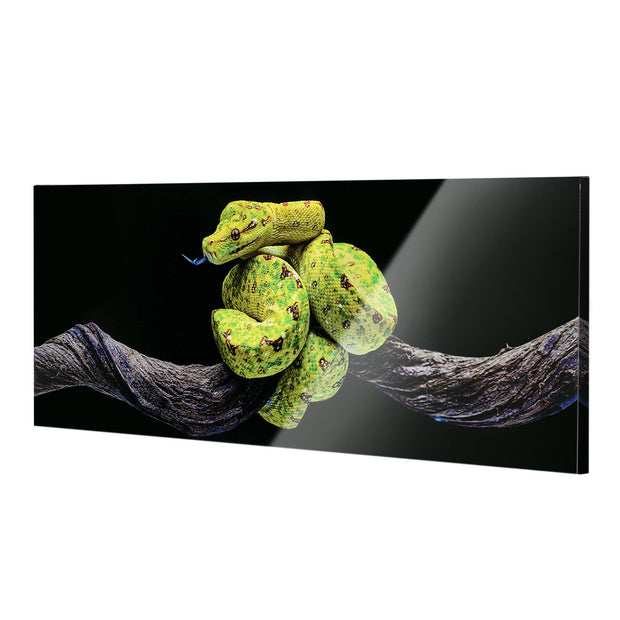 Green Tree Snake Glossy Lacquer Canvas Wall Art Print Panel, 48" x 18"
